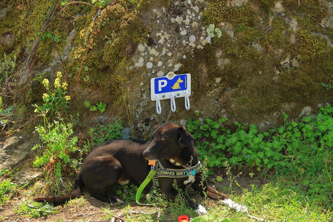 Parkovisko na psa, Sant Pere de Rodes, ES